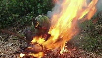 暗黑爆料在线吃瓜最新版 第3张 暗黑爆料在线吃瓜最新版 第3张