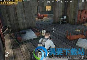 吃鸡精灵娃娃爆料视频,吃鸡视频背后的惊人真相  第2张