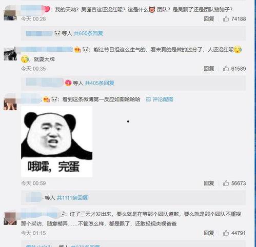 吴瑾言最新爆料视频,娱乐圈幕后真相大曝光  第2张