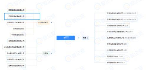 集卡最新爆料,揭秘最新爆料背后的科技革新与市场趋势  第2张