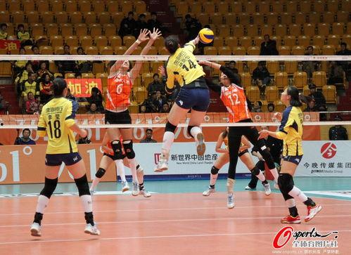 天津队篮球队员爆料视频,揭秘球队内部风云 第3张 天津队篮球队员爆料视频,揭秘球队内部风云 第3张