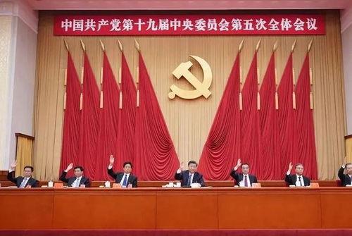 成武五中爆料新闻视频下载  第3张