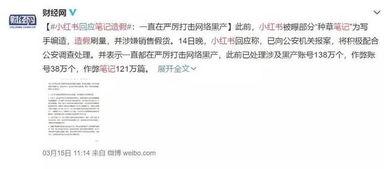 娱乐圈爆料博主骗局揭秘,揭开虚假信息的神秘面纱