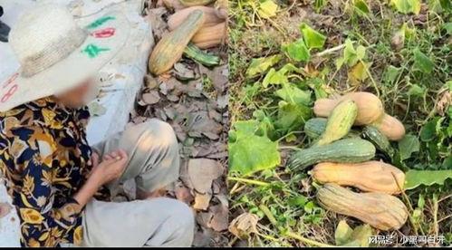 新昌吃瓜最新事件爆料视频,揭秘幕后真相,视频爆料引发热议 第3张 新昌吃瓜最新事件爆料视频,揭秘幕后真相,视频爆料引发热议 第3张