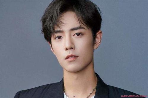 肖战圈内爆料近期新闻视频,揭秘近期热门新闻背后的真相