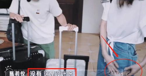 大琪爆料鲨鱼裤视频,鲨鱼裤潮流背后的秘密  第2张