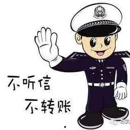 爆料网络诈骗新闻,最新爆料揭露惊人内幕